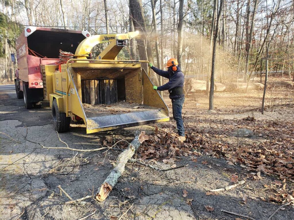 Wood Chipping & Disposal Services