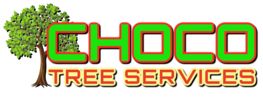 Choco Tree Services LLC NJ